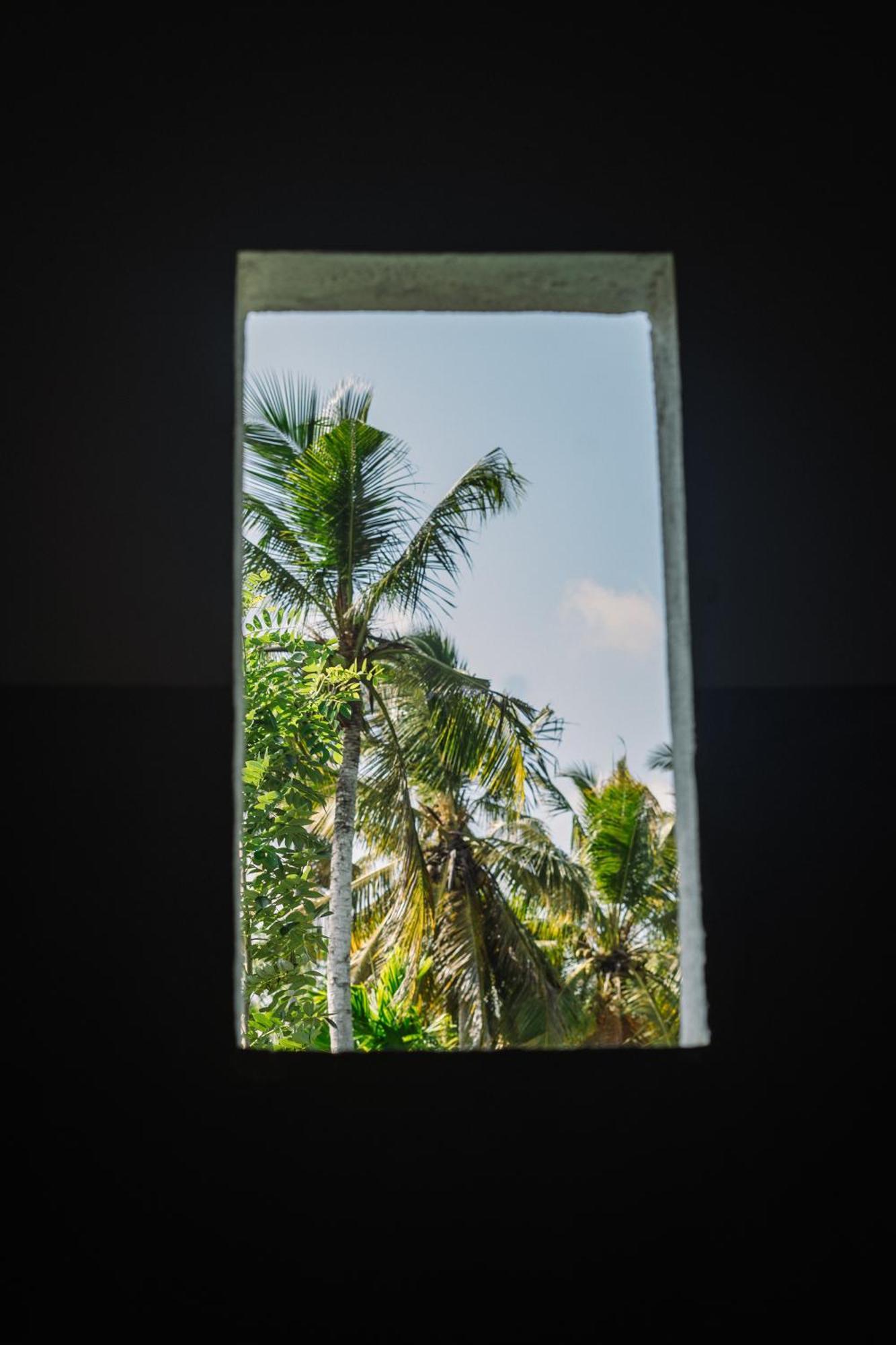 Chill Vibes Hiriketiya Hostel Dikwella Εξωτερικό φωτογραφία